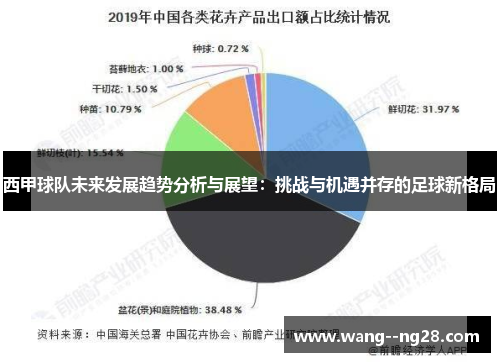 西甲球队未来发展趋势分析与展望：挑战与机遇并存的足球新格局