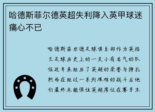 哈德斯菲尔德英超失利降入英甲球迷痛心不已